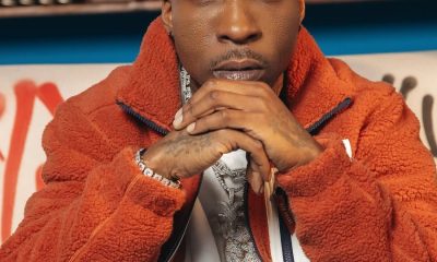 BosaLin’s 2025 Push Lays the Foundation for 2026 Excellence!