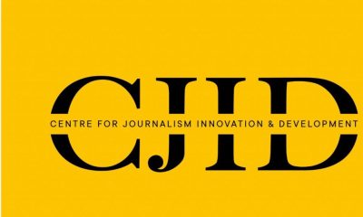 CJID appoints Chiedo Nwankwor to its Board of Trustees