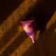 Scientists sent a menstrual cup to space. This is how it went