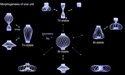 This Shape-Shifting Polymer Lantern Moves Like It’s Alive
