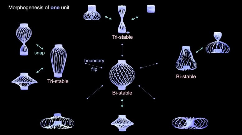 This Shape-Shifting Polymer Lantern Moves Like It’s Alive