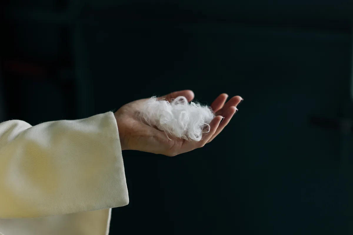 Everbloom built an AI to turn chicken feathers into cashmere