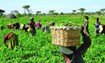 Yilwatda Doles Out N10m, Farm Inputs To Farmers