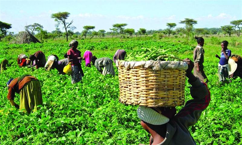 Yilwatda Doles Out N10m, Farm Inputs To Farmers