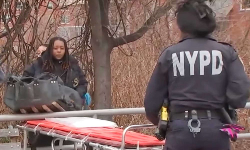 Skeletal Remains, Including Human Skull, Found Off Coney Island Boardwalk