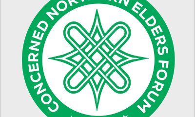 Concerned Northern Elders Reject NEF Position on FIRS, Back Tinubu’s Reforms