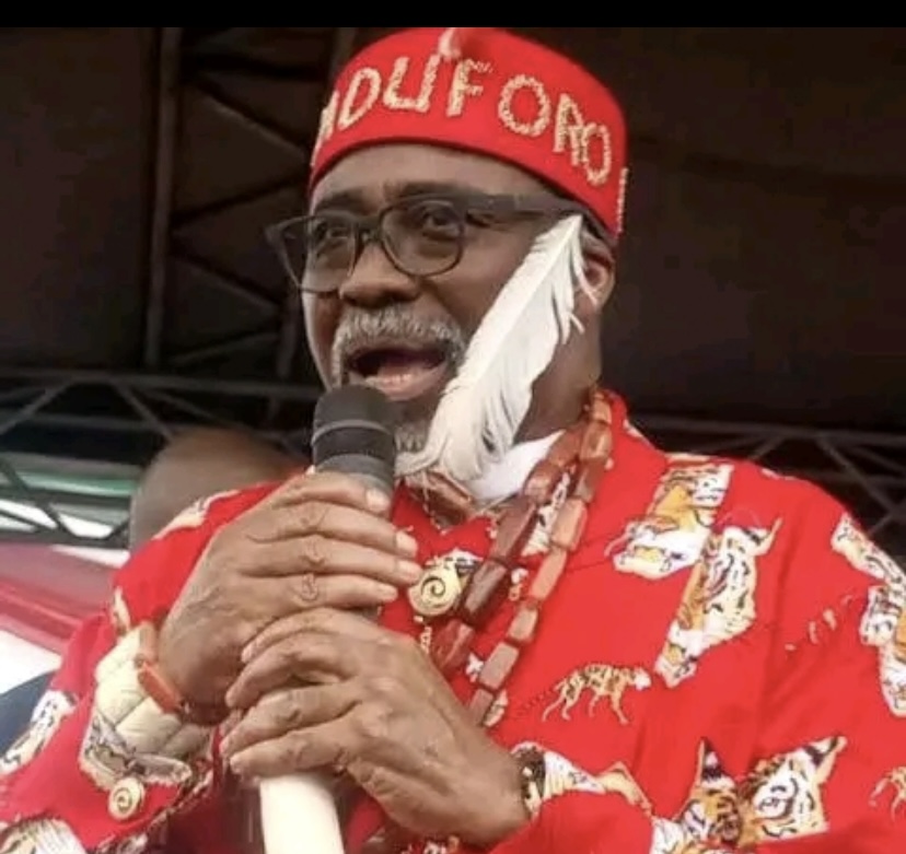 Defection: We won’t miss Abaribe – APGA Vice Chairman