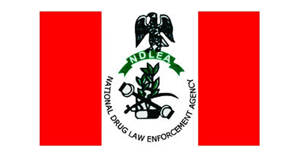 NDLEA Delta seizes N3bn drugs, secures 226 convictions in one year