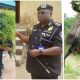 Cultural celebration goes wrong in Akwa Ibom as police arrest 3 masquerades