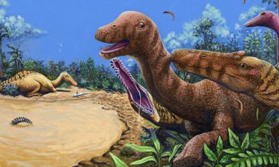 Spinosaurus relative longer than a pickup truck stalked Thailand’s rivers 125 million years ago