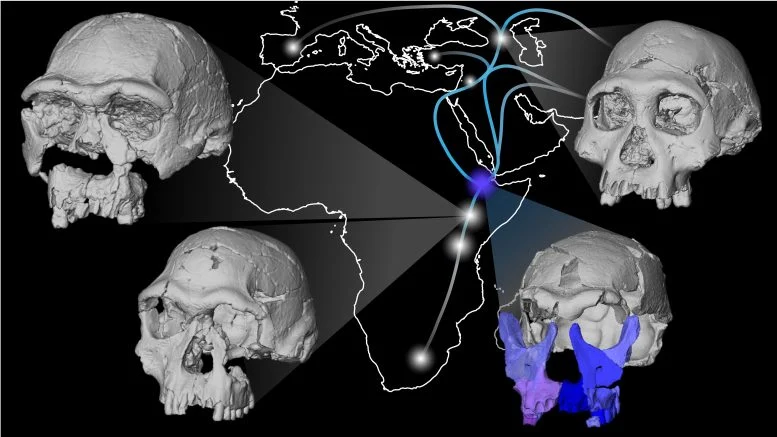This 1.5-Million-Year-Old Human Face Is Rewriting Human Evolution