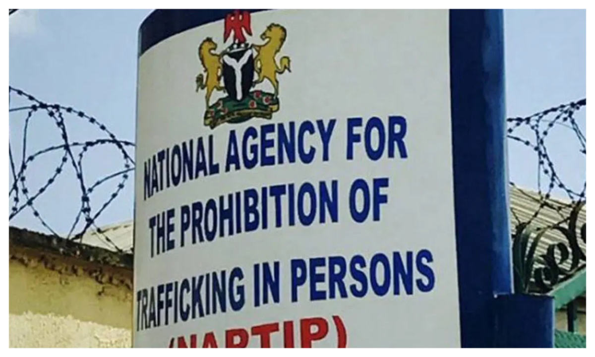 NAPTIP receives 6 human trafficking victims intercepted in Jigawa
