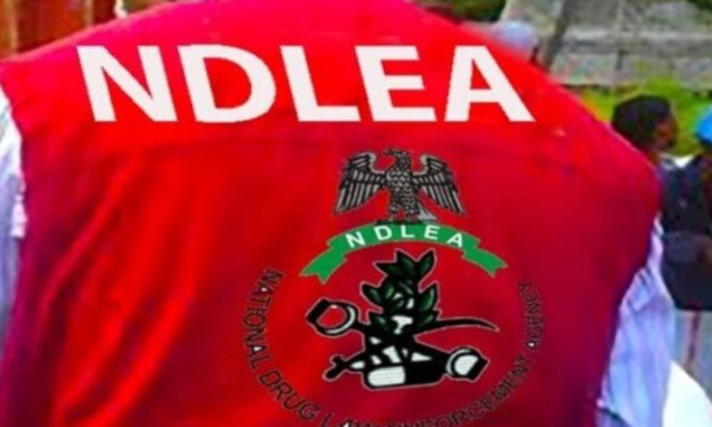 NDLEA raids warehouse, arrests suspected drug baron in Edo