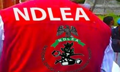 NDLEA raids warehouse, arrests suspected drug baron in Edo