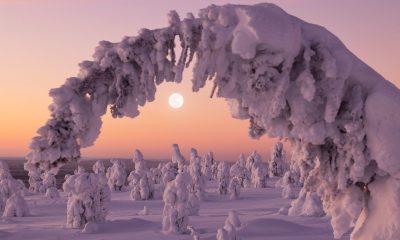 Winter solstice 2025: Your ultimate guide to the shortest day of the year