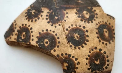 Scientists Found Hidden Math in Ancient Flower Art