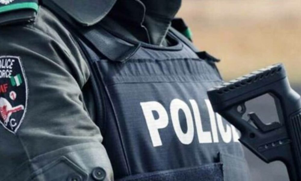 Police arrest suspected armed robber, recover firearms in Ogun