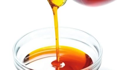 Ekiti govt urges farmers to adopt sustainable palm oil production – Tribune Online