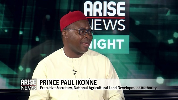 You’re wrong, expect Asiwaju Tsunami in 2027 – Ikonne taunts Abaribe