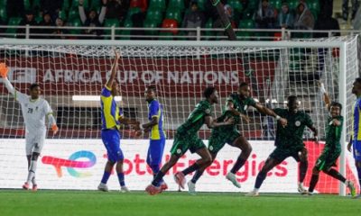 Nigeria Vs Tunisia Battle of Two Eagles – THISDAYLIVE