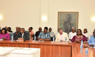 Mining financing key to Nigeria’s future — SMDF – Tribune Online