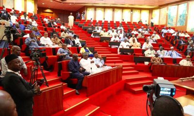 New curriculum: Senate summons Education Minister, moves to stop WAEC registration