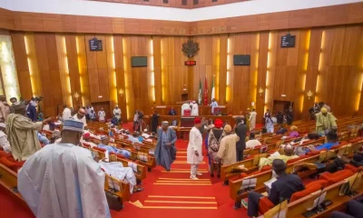 Senate Passes MTEF/FSP; Tinubu To Present 2026 Budget This Week