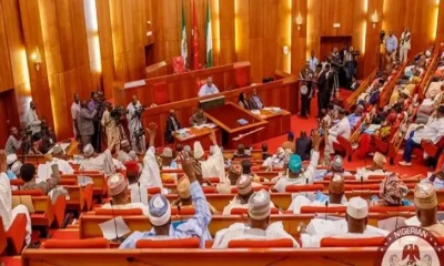 Nigerian Senate passes 2026–2028 MTEF