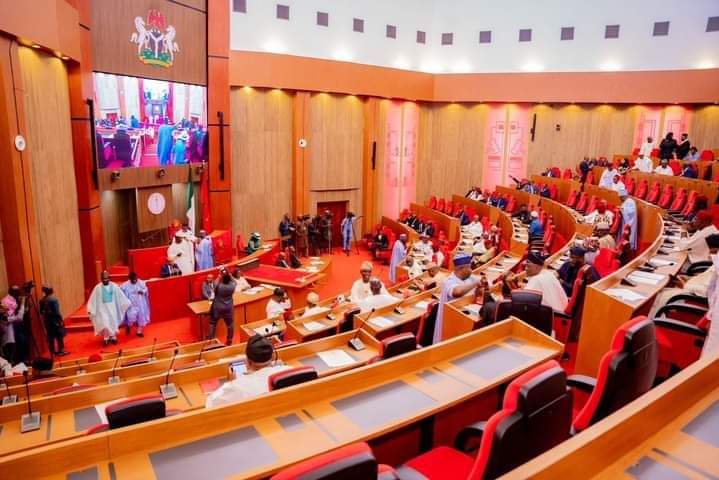 Senate Summons Education Minister Over Sudden Curriculum Implementation