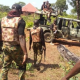 Troops Neutralise 21 Boko Haram Terrorists, Intercept Logistics In Borno Ambush