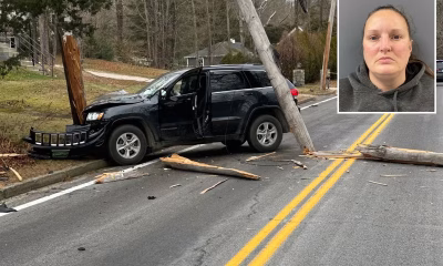 Driver who killed Grammy-nominated musician walking his dogs had been arrested over 100 times