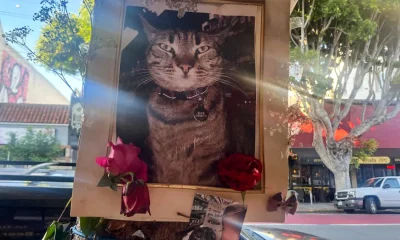 Waymo runs into safety concerns and competition as it expands in the US | Automotive Industry