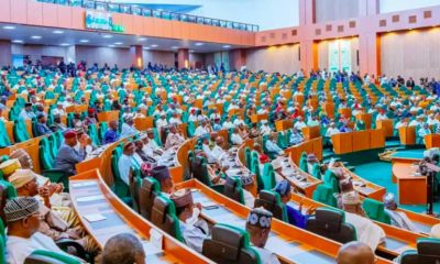 Kano Rep Confirms Alleged Alterations in Tax Law – THISDAYLIVE