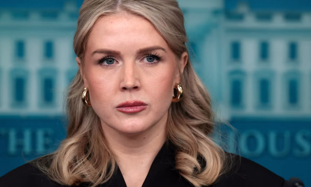 Has Karoline Leavitt taken a page out of George Orwell’s 1984? Historians think so