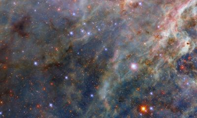 Nebula knowledge: Do you know these stunning space structures?