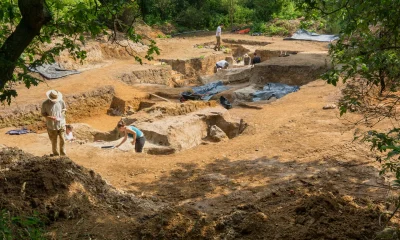 Oldest evidence of deliberate fire use found in England | History News