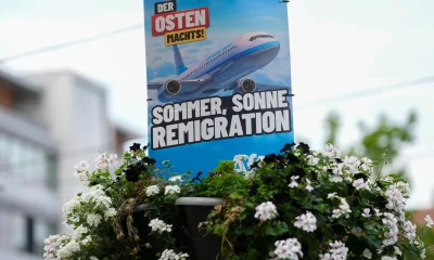 What is remigration, the far-right fringe idea going mainstream? | Migration News