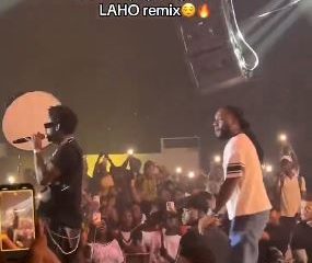 The Moment Burna Boy Surprised Shallipopi At Lagos Concert (Video)