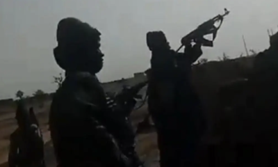 Bandits Kill Resident, Injure Two Others, Rustle 40 Cows In Kano