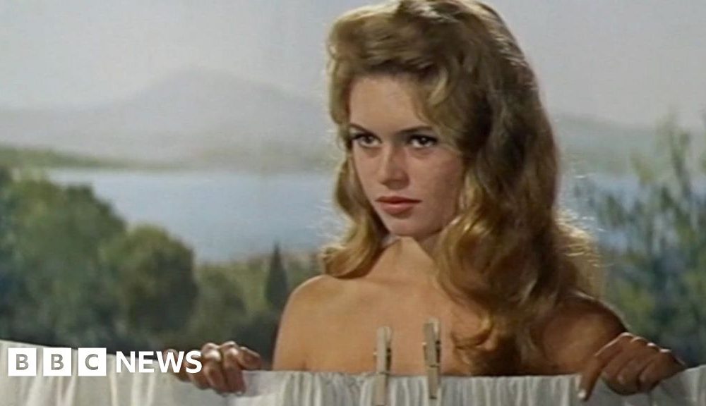 From French cinema to international fame