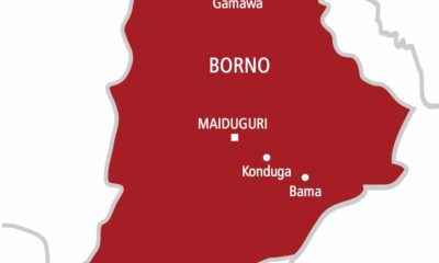 IED explosion injures four in Borno