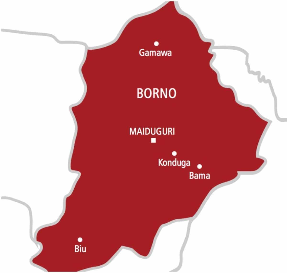 IED explosion injures four in Borno