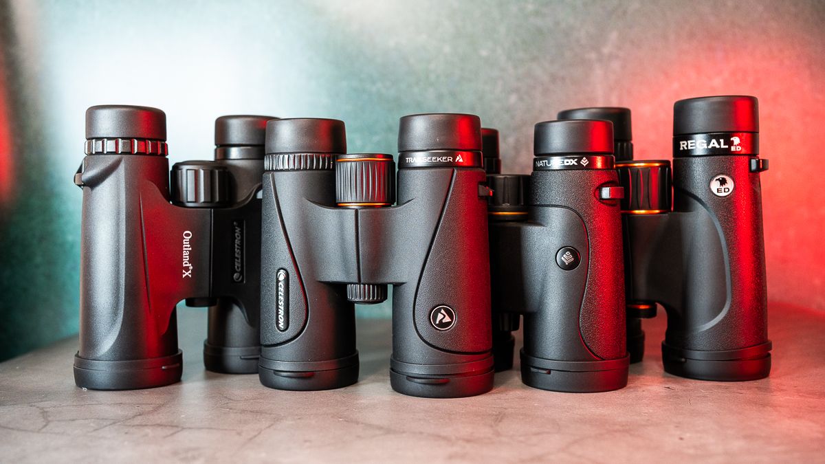 Celestron Showdown: Battle of the 10×42’s