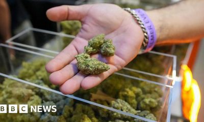 Trump expands access to cannabis in a major shift in drug policy