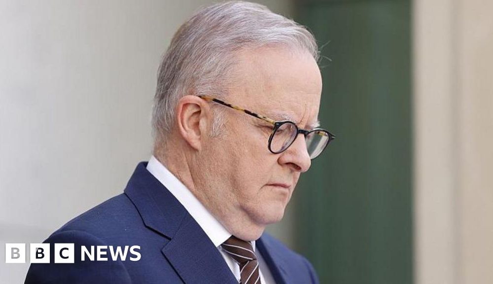 Australia announced gun buyback scheme in wake of Bondi attack