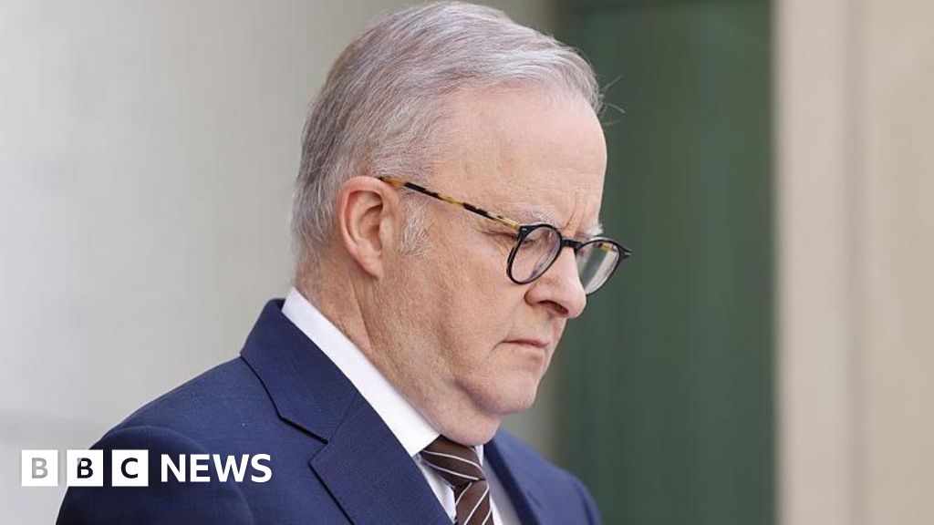 Australia announced gun buyback scheme in wake of Bondi attack