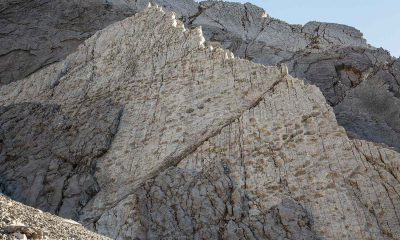 20,000 Dinosaur Footprints Discovered Near 2026 Winter Olympics Venues