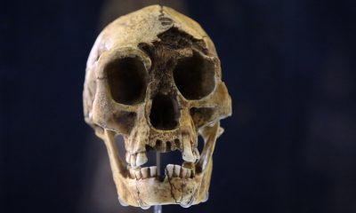 The ‘hobbits’ may have died out when drought forced them to compete with modern humans, new research suggests