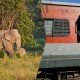 Train hits elephant herd in northeastern India, kills 7 elephants