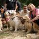 Over 2,000 Golden Retrievers Gather in Argentinian Park to Break World Record